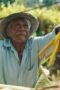 Nonton Film Live to 100: Secrets of the Blue Zones Season 1 Episode 3 Nonton Film Live to 100: Secrets of the Blue Zones Season 1 Episode 3