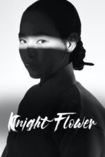 Knight Flower (2024) Knight Flower (2024)